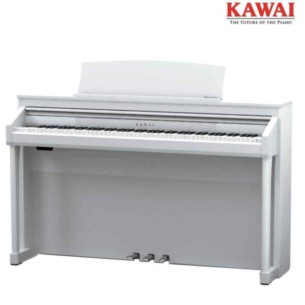 CA97_6