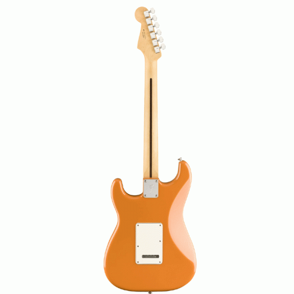 strat-capri-2