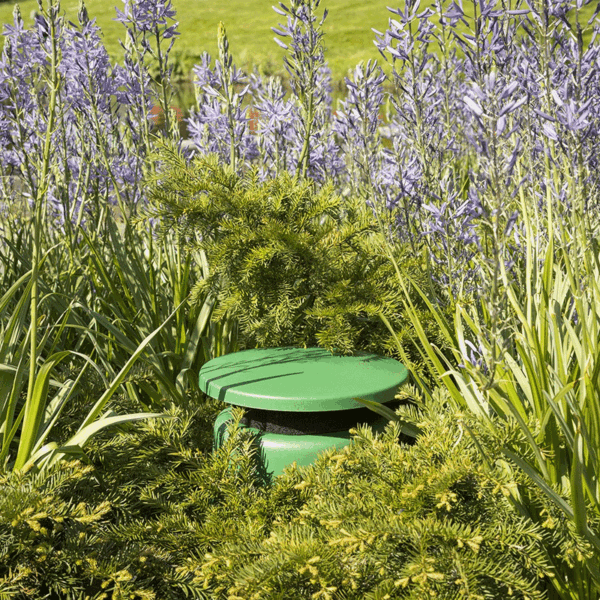 gardenset2