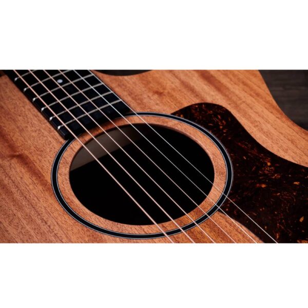 TAYLOR 24CE 3