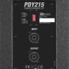 pdy15p1