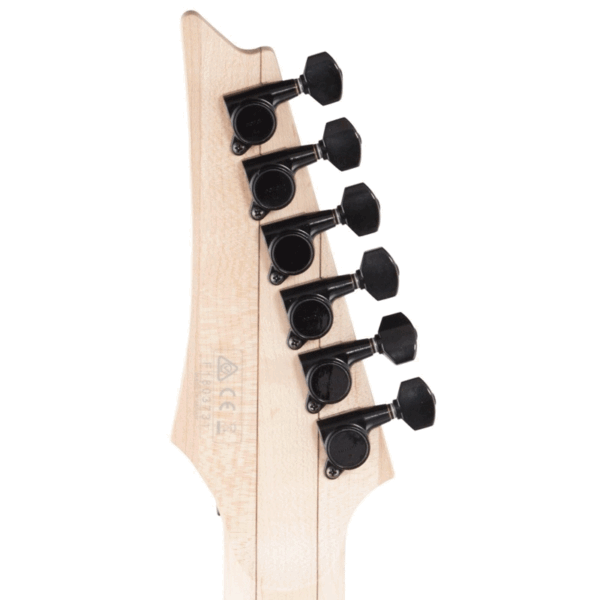 rg550g