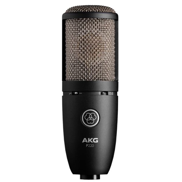 AKG AKG P220 1